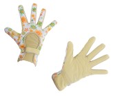 Garden Glove Sunny