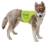 Safety Vest