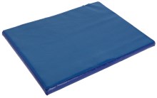 Disinfection Mat