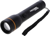 LED Torch ProFire 1800