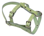 Head Halter