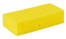 Sponge