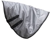 Vratni del RugBe 100